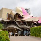001 - Website 2024 - Frank Gehry