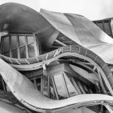 002 - Website 2024 - Frank Gehry