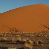 013 - Website 2024 - 2013 Namibie